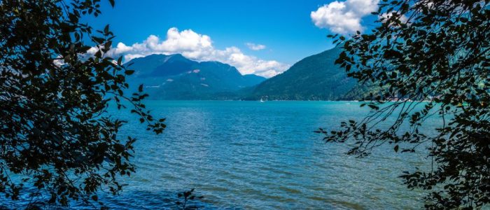 harrison_lake_2